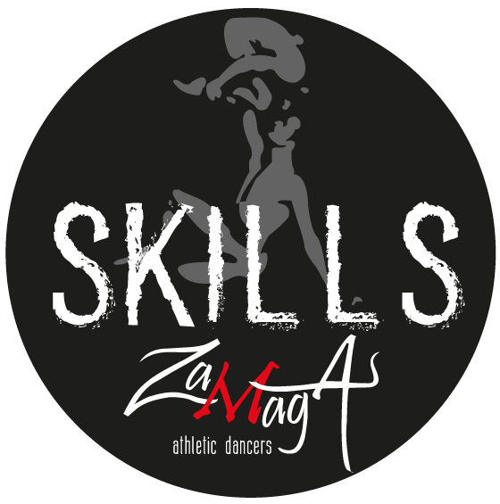 zamaga-skills-logo-nero